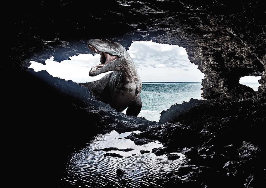 Discovery photomanipulation